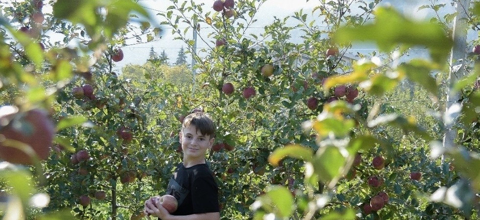 I bambini curano i meleti e svolgono lezioni tra i filari della val di Non